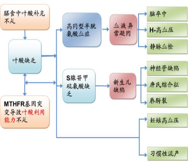 圖片2