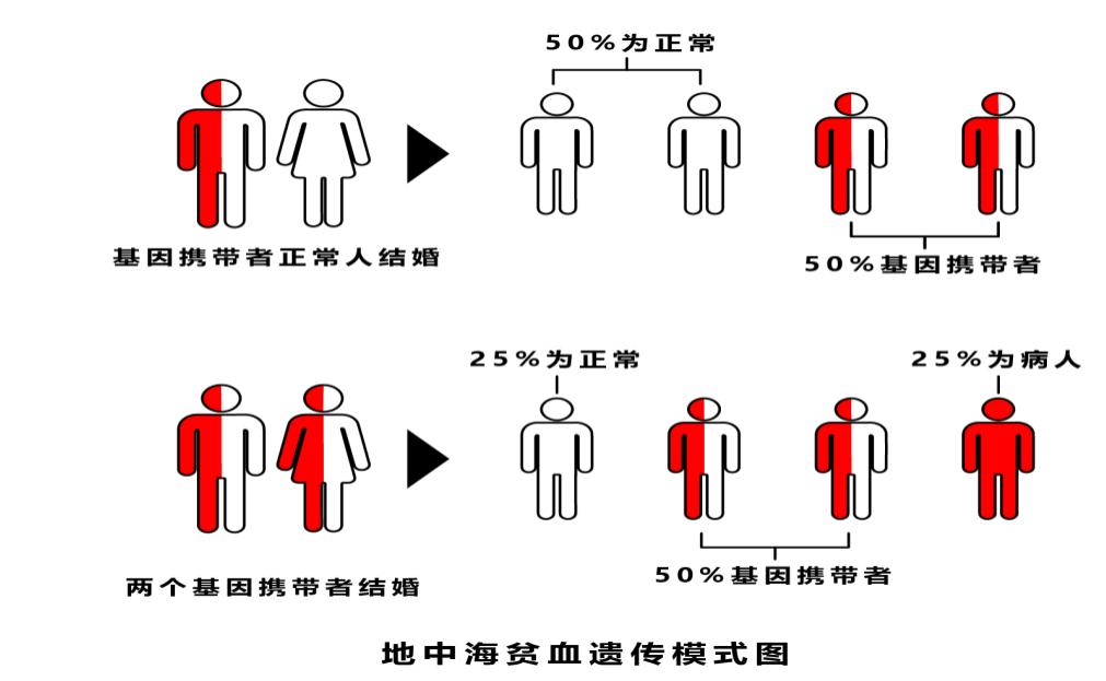 圖片45.jpg